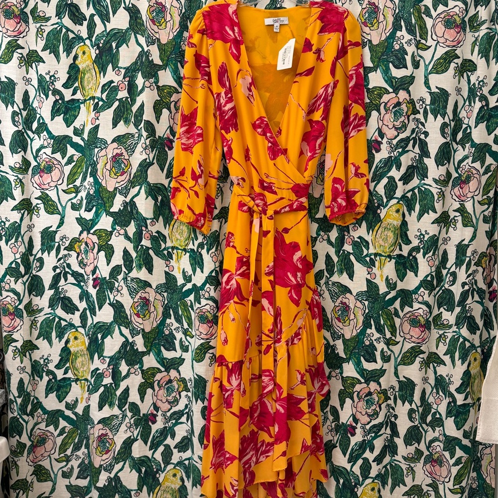 🧡🩷 Color Me Courtney wrap dress 🩷🧡